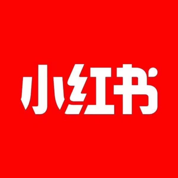 数据报告